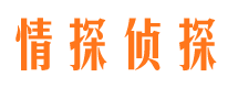 柳江侦探公司